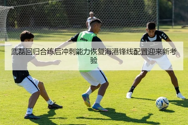 武磊回归合练后冲刺能力恢复海港锋线配置迎来新考验 - OUBAOSPORTS